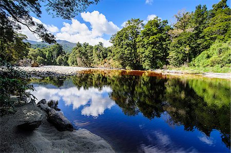 simsearch:841-07782754,k - Trees reflecting in the water, Mirror Tarn, Oparara Basin, Karamea, West Coast, South Island, New Zealand, Pacific Photographie de stock - Rights-Managed, Code: 841-07782788