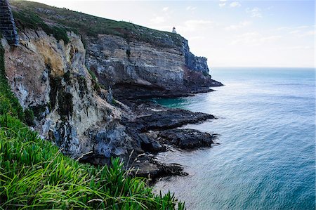 simsearch:841-07782754,k - Steep cliffs at Taiaroa Head, Otago Peninsula, South Island, New Zealand, Pacific Photographie de stock - Rights-Managed, Code: 841-07782806