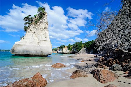 Giant rock on the sandy beach of Cathedral Cove, Coromandel, North Island, New Zealand, Pacific Foto de stock - Con derechos protegidos, Código: 841-07782833