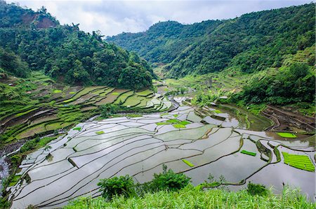 The rice terraces of Banaue, UNESCO World Heritage Site, Northern Luzon, Philippines, Southeast Asia, Asia Stock Photo - Rights-Managed, Code: 841-07782863