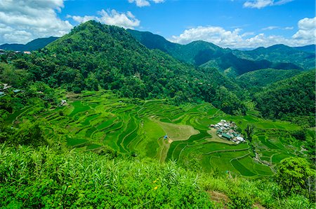 Bangaan in the rice terraces of Banaue, UNESCO World Heritage Site, Northern Luzon, Philippines, Southeast Asia, Asia Foto de stock - Direito Controlado, Número: 841-07782874