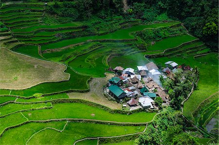 simsearch:841-07782970,k - Bangaan in the rice terraces of Banaue, UNESCO World Heritage Site, Northern Luzon, Philippines, Southeast Asia, Asia Foto de stock - Con derechos protegidos, Código: 841-07782873