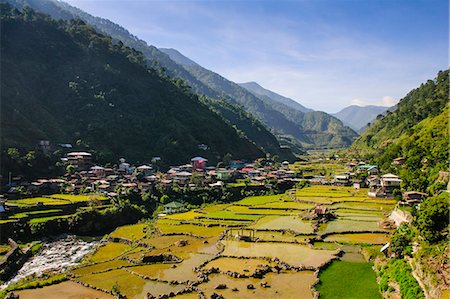 simsearch:841-07781930,k - Along the rice terraces from Bontoc to Banaue, Luzon, Philippines, Southeast Asia, Asia Foto de stock - Con derechos protegidos, Código: 841-07782898