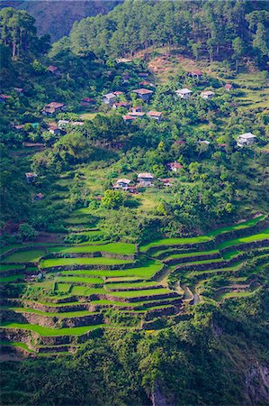 sagada - View from Kiltepan tower over the rice terraces, Sagada, Luzon, Philippines, Southeast Asia, Asia Stock Photo - Rights-Managed, Code: 841-07782901