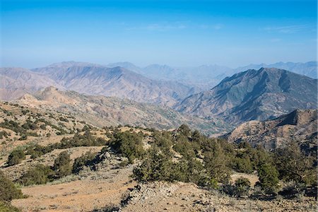 simsearch:841-02918756,k - Filfil, only rainforest area in Eritrea, Africa Photographie de stock - Rights-Managed, Code: 841-07782913