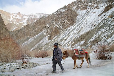 people ladakh - Ladakhi man crossing frozen river with his horse, Rumbak Valley, Hemis National Park, Ladakh, India, Asia Stock Photo - Rights-Managed, Code: 841-07783003