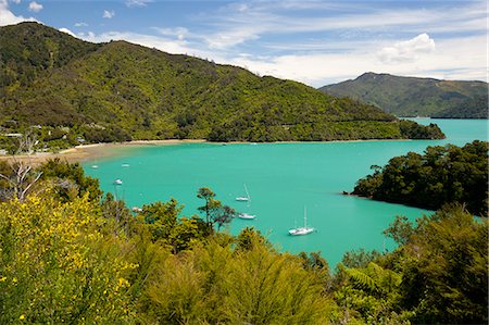 simsearch:841-07782754,k - Ngakuta Bay, Queen Charlotte Sound, near Picton, Marlborough Region, South Island, New Zealand, Pacific Photographie de stock - Rights-Managed, Code: 841-07783026