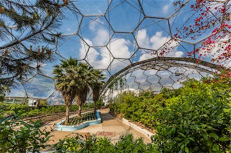 serre (plantes) - The Eden Project, the complex consists of huge greenhouse domes simulating different biomes from around the world, St. Austell, Cornwall, England, United Kingdom, Europe Photographie de stock - Rights-Managed, Code: 841-07813724