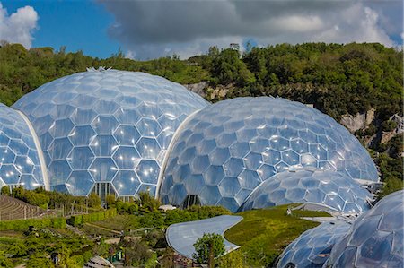 simsearch:841-05782379,k - The Eden Project, the complex consists of huge greenhouse domes simulating different biomes from around the world, St. Austell, Cornwall, England, United Kingdom, Europe Photographie de stock - Rights-Managed, Code: 841-07813726