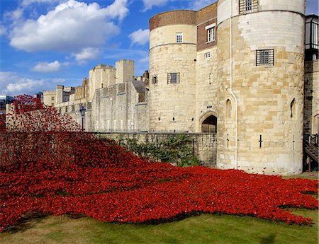 Blood Swept Lands and Seas of Red installation at The Tower of London marking 100 years since the First World War, Tower of London, UNESCO World Heritage Site, London, England, United Kingdom, Europe Stock Photo - Rights-Managed, Code: 841-07813884