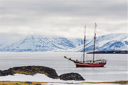 simsearch:841-06446061,k - The exploration ship Northern Lights at anchor in Varsolbukta, Bellsund, Spitsbergen, Svalbard, Arctic, Norway, Scandinavia, Europe Foto de stock - Con derechos protegidos, Código: 841-07913664