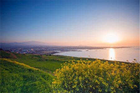 Coastal scenery and sunset, spring rapeseed blossom, Jeju Island, South Korea, Asia Stock Photo - Rights-Managed, Code: 841-07913820