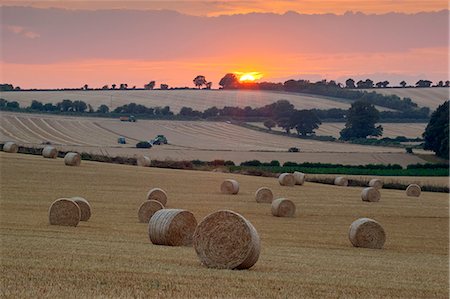 farm photos - Round hay bales at harvest with sunset, Swinbrook, Cotswolds, Oxfordshire, England, United Kingdom, Europe Stock Photo - Rights-Managed, Code: 841-07913960