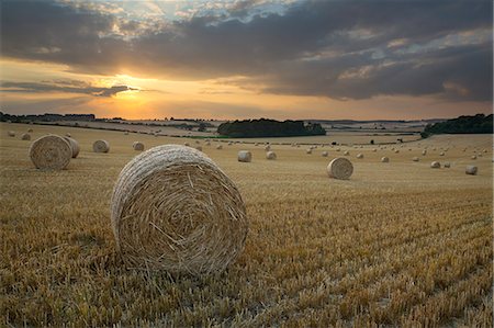 sunset farm - Round hay bales at harvest with sunset, Swinbrook, Cotswolds, Oxfordshire, England, United Kingdom, Europe Stock Photo - Rights-Managed, Code: 841-07913961