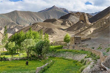 photographs of indian farm women - Woman and child working in the fields at the base of the mountains of Moonland, Lamayuru, Ladakh, Himalayas, India, Asia Stock Photo - Rights-Managed, Code: 841-07913978