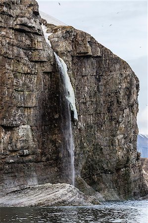 simsearch:6119-07451294,k - Steep cliffs filled with nesting birds on the south side of Bjornoya (Bear Island), Svalbard, Norway, Scandinavia, Europe Foto de stock - Con derechos protegidos, Código: 841-08031370