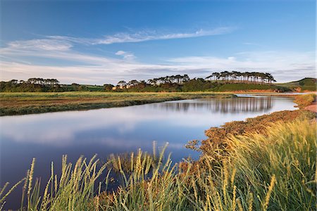 simsearch:841-07204866,k - Otter Estuary at Budleigh Salterton in summer, Devon, England, United Kingdom, Europe Photographie de stock - Rights-Managed, Code: 841-08031499