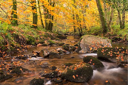 simsearch:841-08729656,k - River Teign surrounded by autumnal trees, Dartmoor, Devon, England, United Kingdom, Europe Foto de stock - Con derechos protegidos, Código: 841-08031527