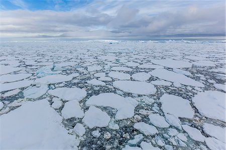 eisscholle - Ice floes choke the waters of the Lemaire Channel, Antarctica, Polar Regions Stockbilder - Lizenzpflichtiges, Bildnummer: 841-08101654