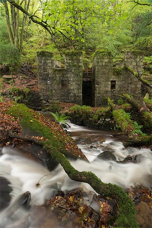 ruine - Abandoned 19th century gunpowder works at Kennall Vale, now a wooded nature reserve, Ponsanooth, Cornwall, England, United Kingdom, Europe Photographie de stock - Rights-Managed, Code: 841-08101989