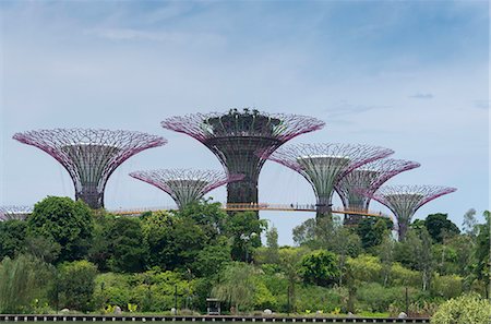 singapore people outdoor landmark - The Supertrees in the Garden By The Bay in Singapore, Southeast Asia, Asia Stock Photo - Rights-Managed, Code: 841-08102118