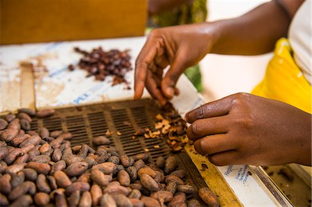 sao tome - Women extracting chocolate from the cocoa beans, Plantation Roca Monte Cafe, Sao Tome, Sao Tome and Principe, Atlantic Ocean, Africa Photographie de stock - Rights-Managed, Code: 841-08102138