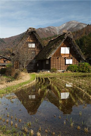 Gassho-zukuri folk houses, Ogimachi village, Shirakawa-go, near Takayama, Central Honshu, Japan, Asia Stock Photo - Rights-Managed, Code: 841-08102246