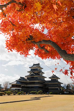 Matsumoto-jo (Wooden Castle) in autumn, Matsumoto, Central Honshu, Japan, Asia Stock Photo - Rights-Managed, Code: 841-08102258