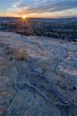 Sunrise from atop a sandstone hill, Grand Staircase-Escalante National Monument, Utah, United States of America, North America Stock Photo - Rights-Managed, Code: 841-08211627