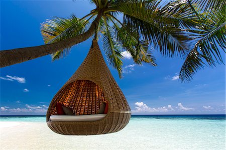 palmwedel - Sofa hanging on a tree on the beach, Maldives, Indian Ocean, Asia Stockbilder - Lizenzpflichtiges, Bildnummer: 841-08211696