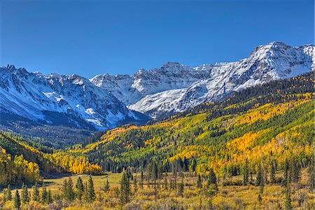 simsearch:6119-08269030,k - Fall Colors, of Road 7, Sneffle Range in the background, near Ouray, Colorado, United States of America, North America Photographie de stock - Rights-Managed, Code: 841-08211768