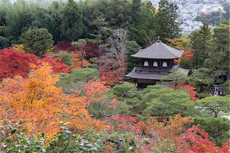 santuario - The Silver Pavilion and gardens in autumn, Buddhist Temple of Ginkaku-ji, Northern Higashiyama, Kyoto, Japan, Asia Foto de stock - Con derechos protegidos, Código: 841-08211810