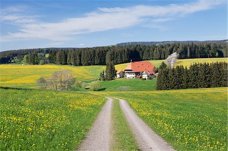 farm house in germany - Unterfallengrundhof (farmhouse) in spring, Guetenbach, Black Forest, Baden Wurttemberg, Germany, Europe Stock Photo - Rights-Managed, Code: 841-08220802