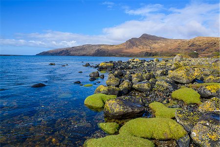 Loch Buie, Isle of Mull, Inner Hebrides, Argyll and Bute, Scotland, United Kingdom, Europe Foto de stock - Con derechos protegidos, Código: 841-08220932