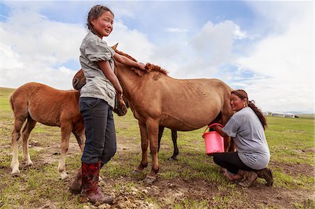 Lady milks mare (horse), daughter holds foal, Summer nomad camp, Khujirt, Uvurkhangai (Ovorkhangai), Central Mongolia, Central Asia, Asia Photographie de stock - Rights-Managed, Code: 841-08239966