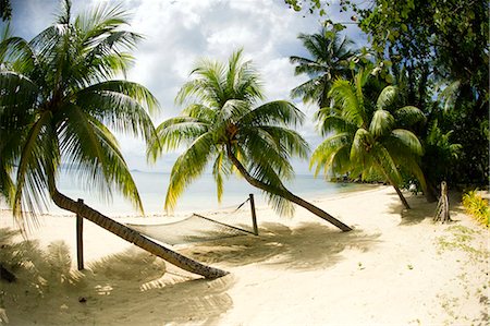 palmwedel - Tropical island beach with hammock at Matangi Island Resort, Vanua Levu, Fiji, Pacific Stockbilder - Lizenzpflichtiges, Bildnummer: 841-08244093