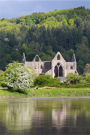 Ruins of Tintern Abbey by the River Wye, Tintern, Wye Valley, Monmouthshire, Wales, United Kingdom, Europe Foto de stock - Direito Controlado, Número: 841-08244298