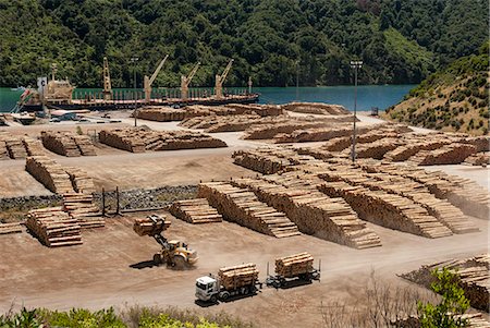 simsearch:841-02824677,k - Timber port, Okiwa Bay, Marlborough Sounds, South Island, New Zealand, Pacific Stock Photo - Rights-Managed, Code: 841-08240012
