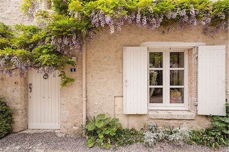 simsearch:841-08240188,k - Wisteria in full bloom surrounds a door in Saint-Dye-sur-Loire, Loir-et-Cher, France, Europe Stock Photo - Rights-Managed, Code: 841-08240169