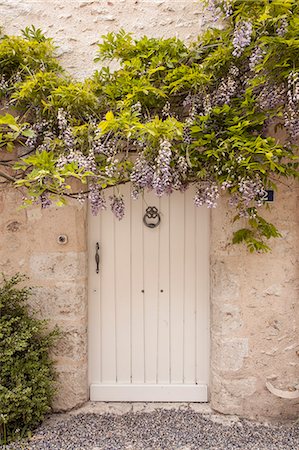 simsearch:841-08149586,k - Wisteria in full bloom surrounds a door in Saint-Dye-sur-Loire, Loir-et-Cher, France, Europe Photographie de stock - Rights-Managed, Code: 841-08240170