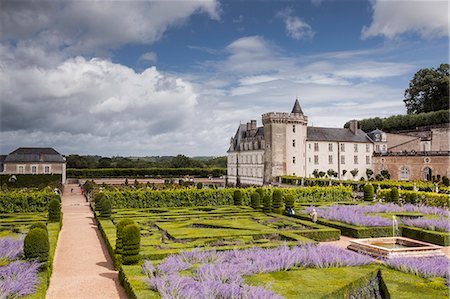 The beautiful castle and gardens at Villandry, UNESCO World Heritage Site, Indre et Loire, Centre, France, Europe Photographie de stock - Rights-Managed, Code: 841-08240201