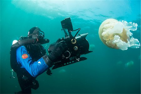 Diver with giant barrel jellyfish off the South Coast, Devon, England, United Kingdom, Europe Photographie de stock - Rights-Managed, Code: 841-08240243