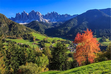 st magdalena - Colorful autumn trees frame the group of Odle and the village of St. Magdalena, Funes Valley, South Tyrol, Dolomites, Italy, Europe Foto de stock - Con derechos protegidos, Código: 841-08279075