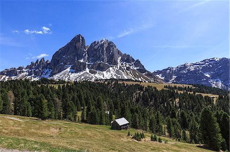 Sass de Putia in background enriched by green woods, Passo delle Erbe, South Tyrol, Dolomites, Italy, Europe Stock Photo - Rights-Managed, Code: 841-08279089
