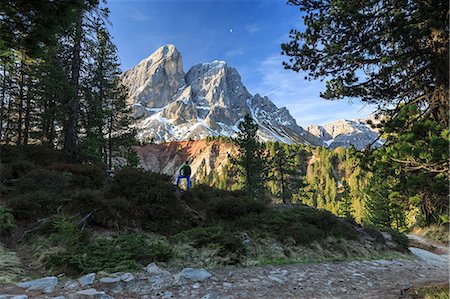 simsearch:841-08279074,k - Hiker in the woods admires Sass De Putia, Passo delle Erbe,  Puez Odle, South Tyrol, Dolomites, Italy, Europe Photographie de stock - Rights-Managed, Code: 841-08279090