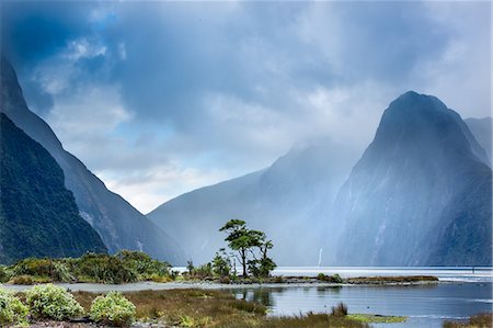 Milford Sound, Fiordland National Park, UNESCO World Heritage Site, Piopiotahi Marine Reserve, South Island, New Zealand, Pacific Stock Photo - Rights-Managed, Code: 841-08279146