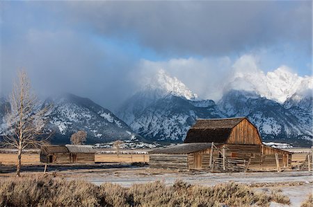 simsearch:841-08279251,k - Grand Teton National Park, Wyoming, United States of America, North America Stock Photo - Rights-Managed, Code: 841-08279248