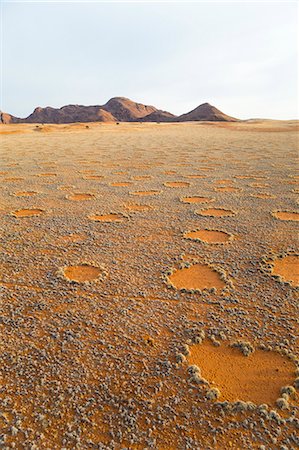 simsearch:6119-08351228,k - Namib Desert, Namibia, Africa Foto de stock - Con derechos protegidos, Código: 841-08279258