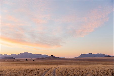 Namib Desert, Namibia, Africa Stock Photo - Rights-Managed, Code: 841-08279264