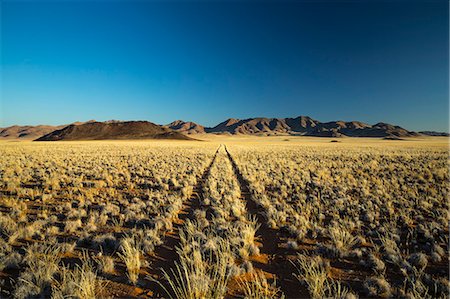 simsearch:841-07782322,k - Namib Desert, Namibia, Africa Photographie de stock - Rights-Managed, Code: 841-08279266